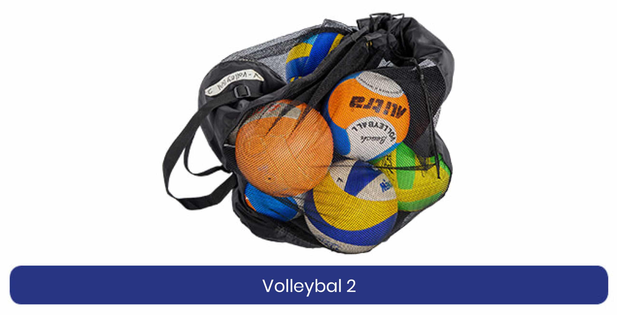 Volleybal 2 lenen product