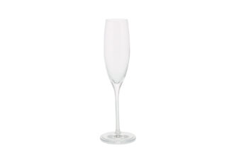 Champagneglazen huren