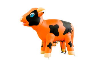 Oranje Ranjakoe huren