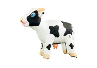 Witte Ranjakoe huren